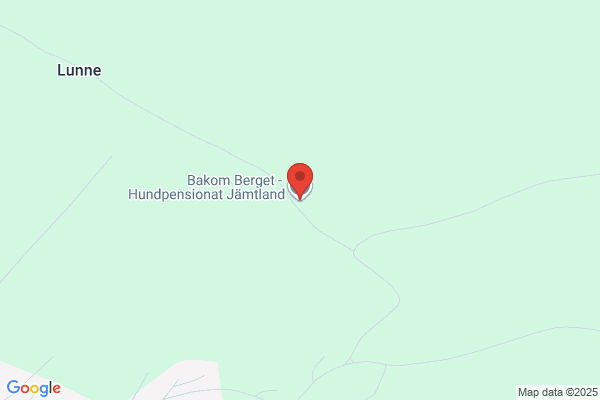 Majsans Hundpensionat
