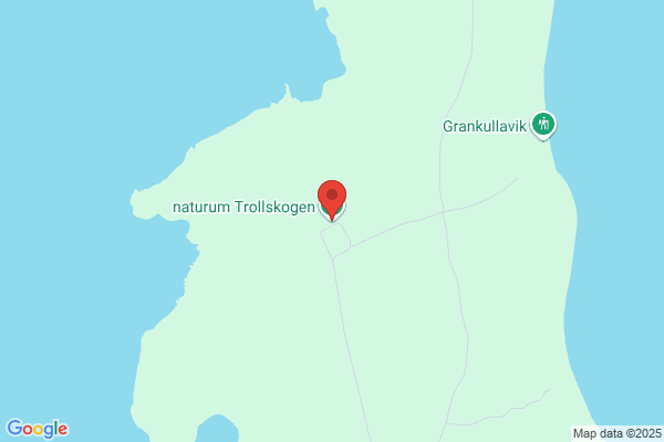 Trollskogen (Förskolor)