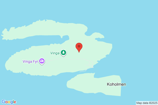 Vinga Nät AB