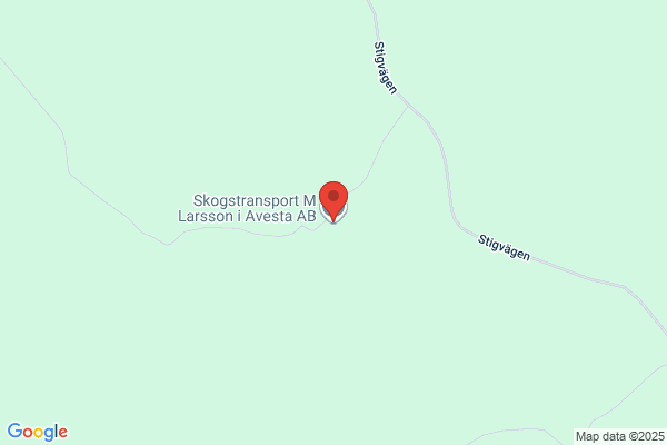 Skogstransporter M Larsson i Avesta AB