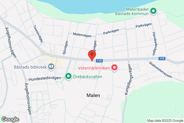 Bilmånsson i Båstad