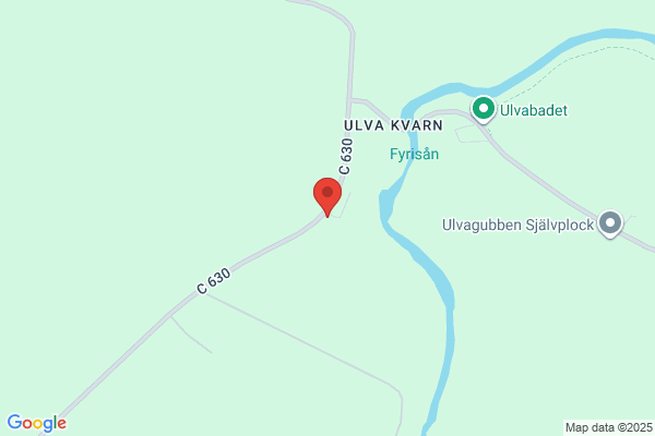 Ulvagubben