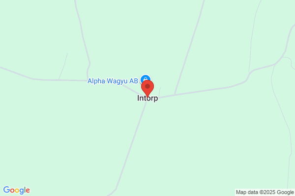 Intorp Säteri AB