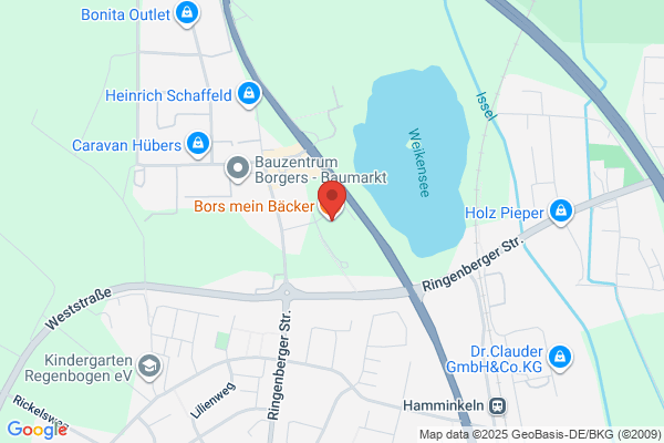 Borås Dragspelservice