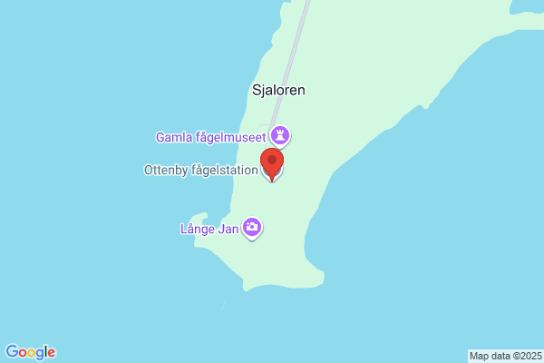 Fågel Blå, Ölands Södra Udde