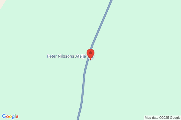 Nilsson Peter Konstnär