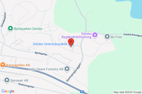 Delsbo Skinnberederi