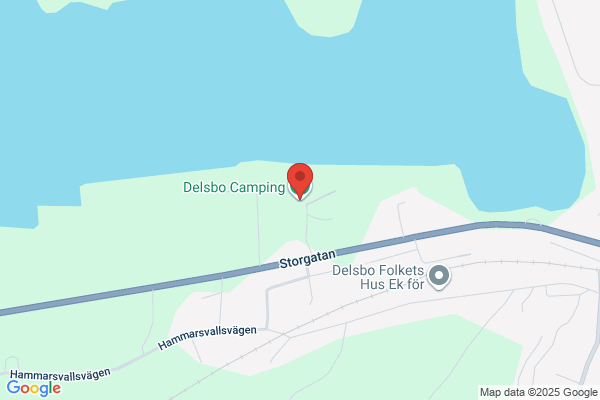 Eltjänst i Dellenbygden