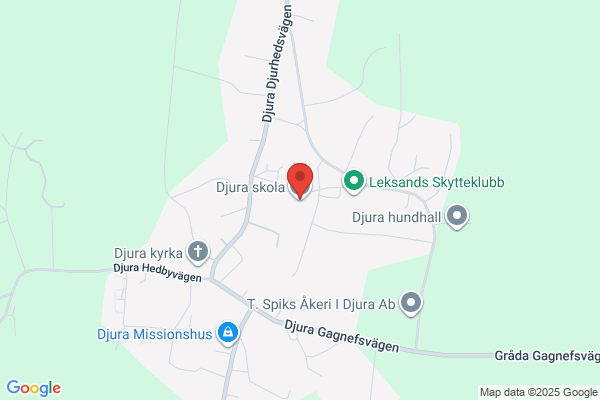 Djura Skola