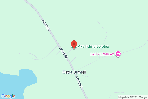 Pike fishing Dorotea