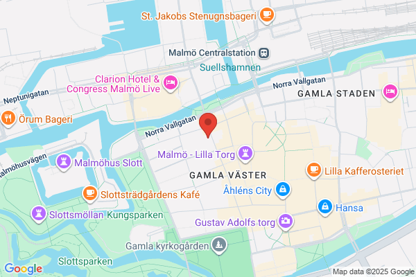 Indo-Swedish Business