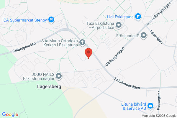 Lagersbergs bibliotek (Bibliotek)