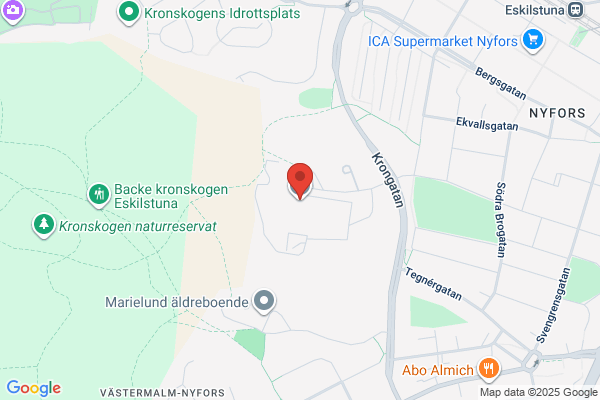 Rekarnegymnasiet