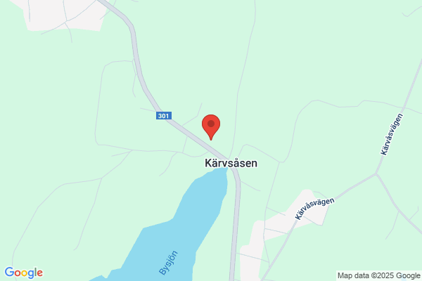 Louizes Vikens Tapetserare verkstad