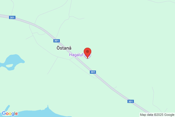 Hyga Musik
