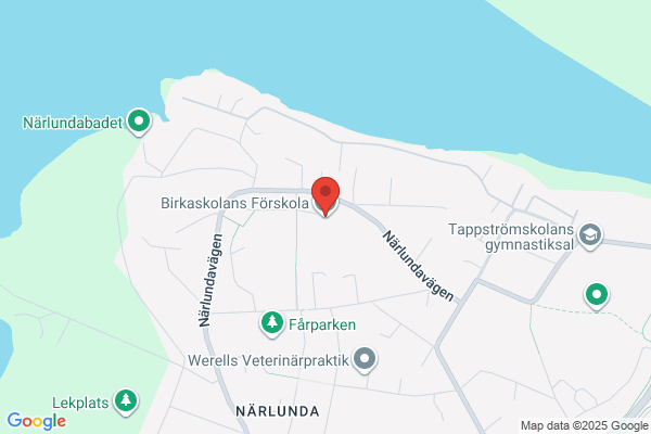 Birkaskolan (Enskild barnomsorg)