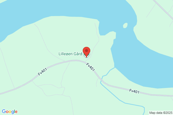 Lillängens Måleri