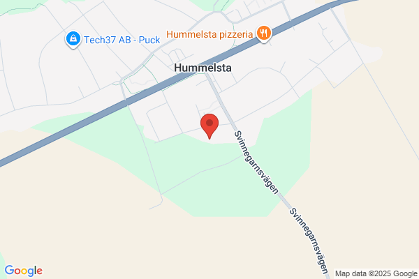 Hummelstaskolan