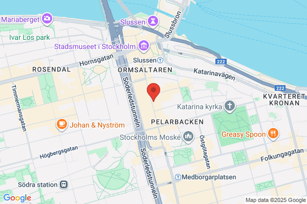 Visdomstanden Julijana Stanojevic, Tandläkare