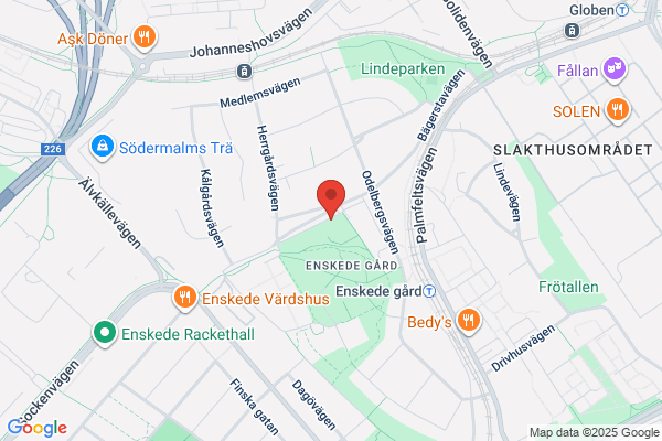 Salamon Konsult AB, Ernst