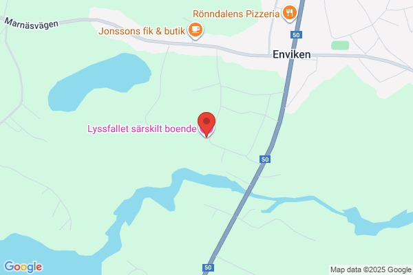 Elviras Tråddetaljer