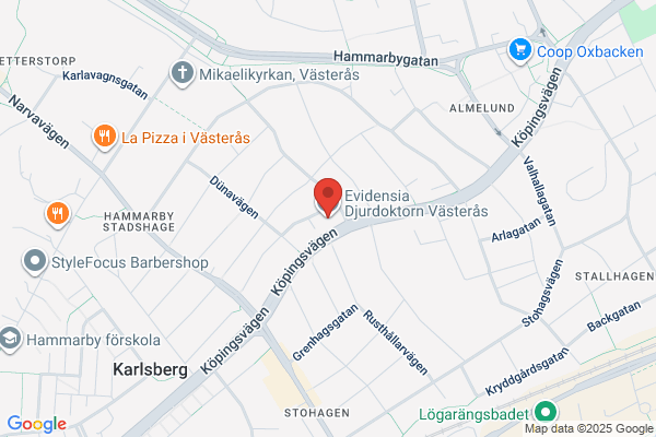 Ademo Redovisning