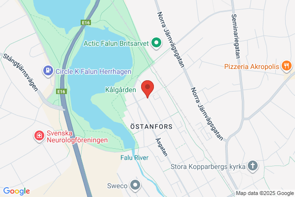 Gröna Bönan