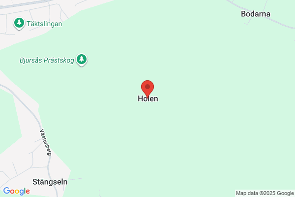 Holen, Arne