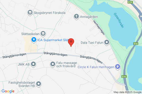 Dala Skogsvitalisering AB