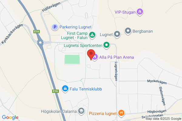Lugnet Restaurang & Café i Falun AB
