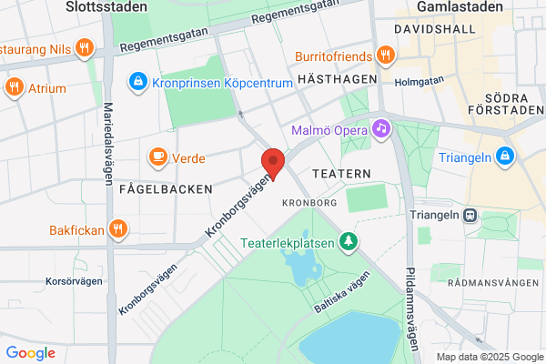 Näsets Antenn o. Allservice