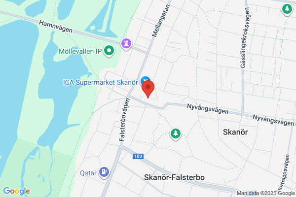 Skanör (Bibliotek)