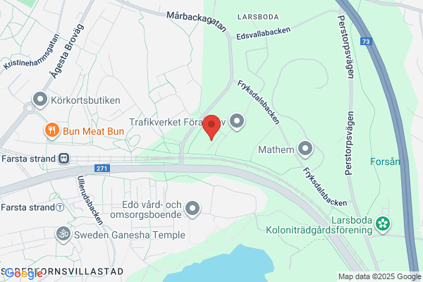 American Insights Ai