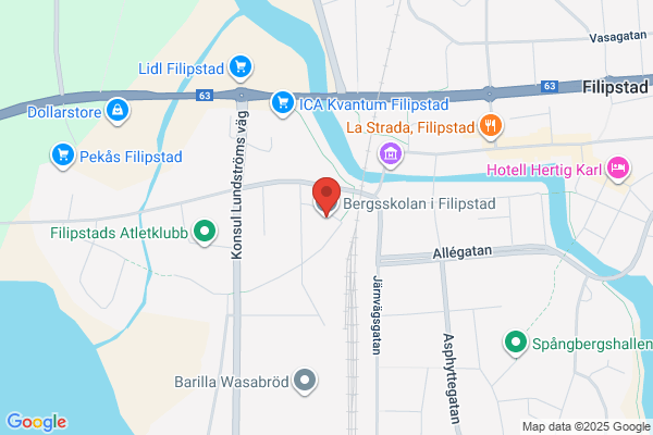 Bergsskolan i Filipstad