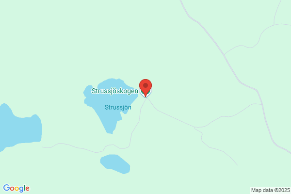 Östergötlands Skogsvårdstjänst AB