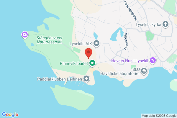 Gullmarsvallen