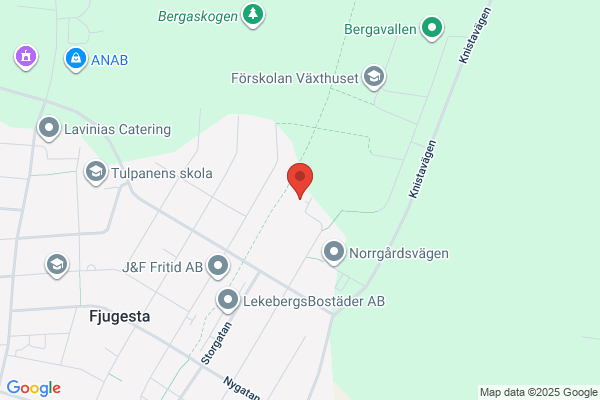 Fjugesta Elektriska, AB