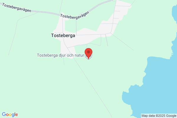 Tosteberga Konsult