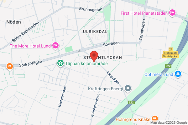 Danielsson Anna, Psykoanalytiker#