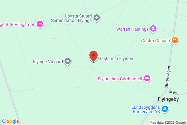 Korsordsservice, A Setterhills