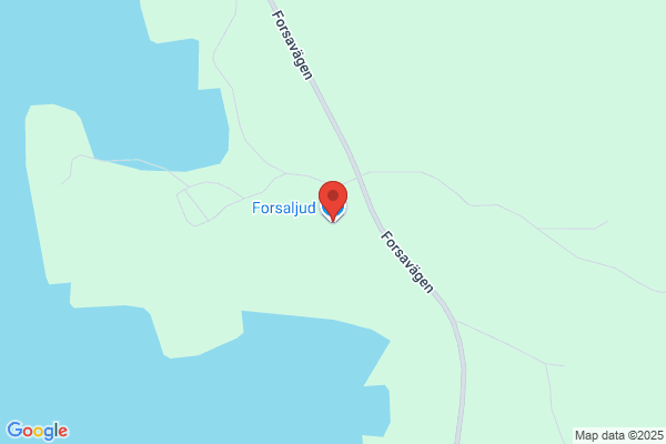 Forsaljud