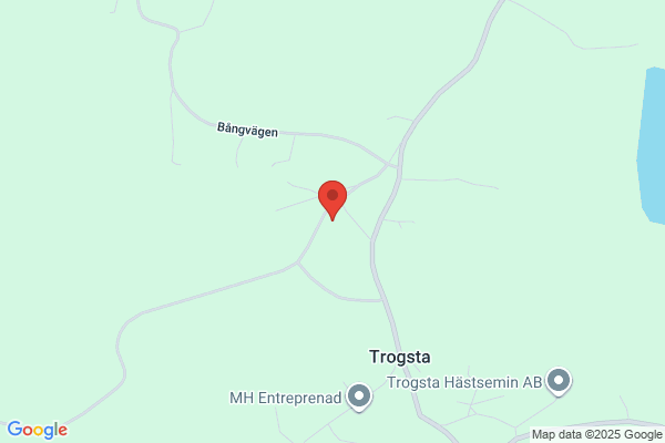 Trogsta Honung