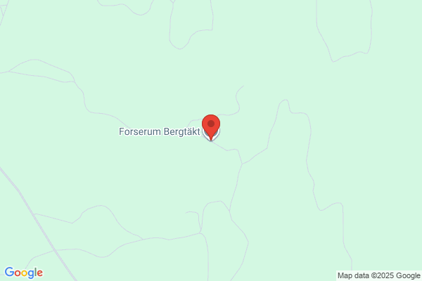 Forserum Berg & Grus AB