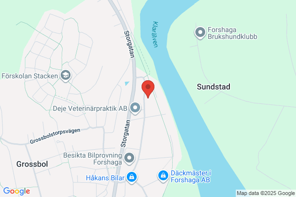 Hedlunds Bilservice i Forshaga / Autoexperten