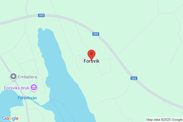 Forsviks Fönstermontage