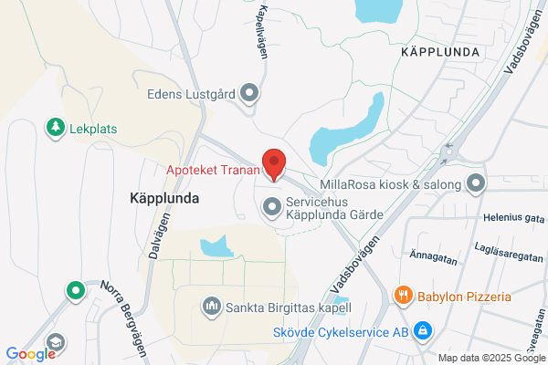 Apoteket Tranan