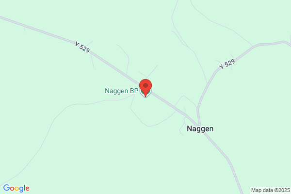 Naggens Ekonomiska Förening