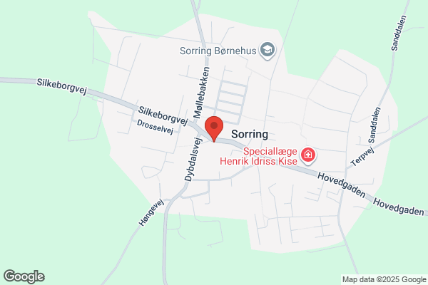 Språngs Måleri AB