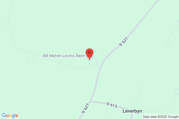 Levins Kranbilar
