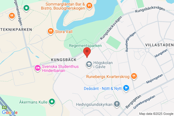 Entreprenörsstiftelsen Drivhuset Gävleborg